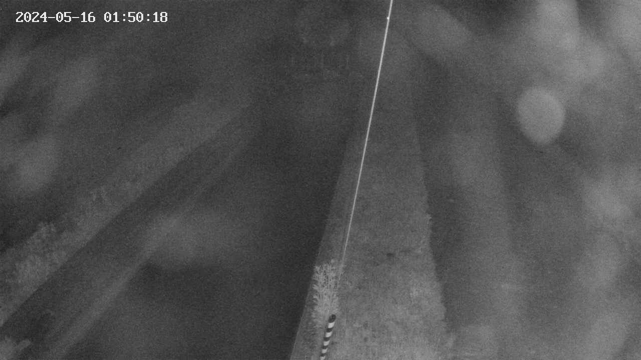 area9-20240516015018.jpg
