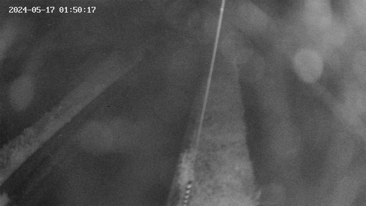 area9-20240517015018.jpg