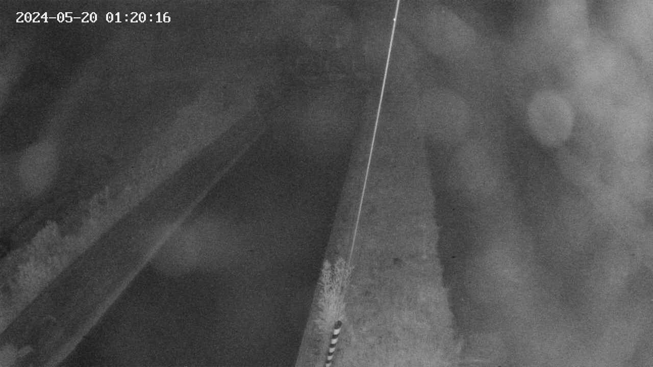 area9-20240520012017.jpg