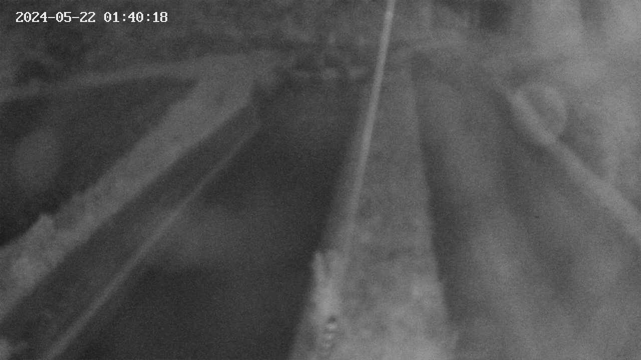 area9-20240522014019.jpg