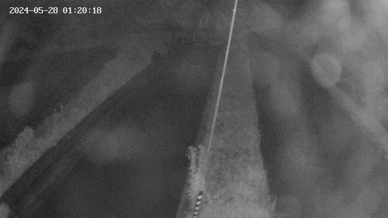 area9-20240528012019.jpg