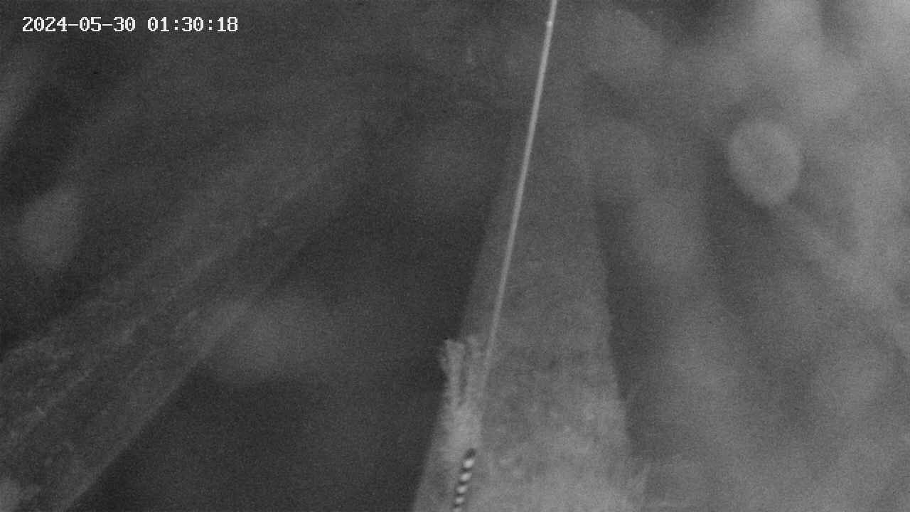 area9-20240530013018.jpg