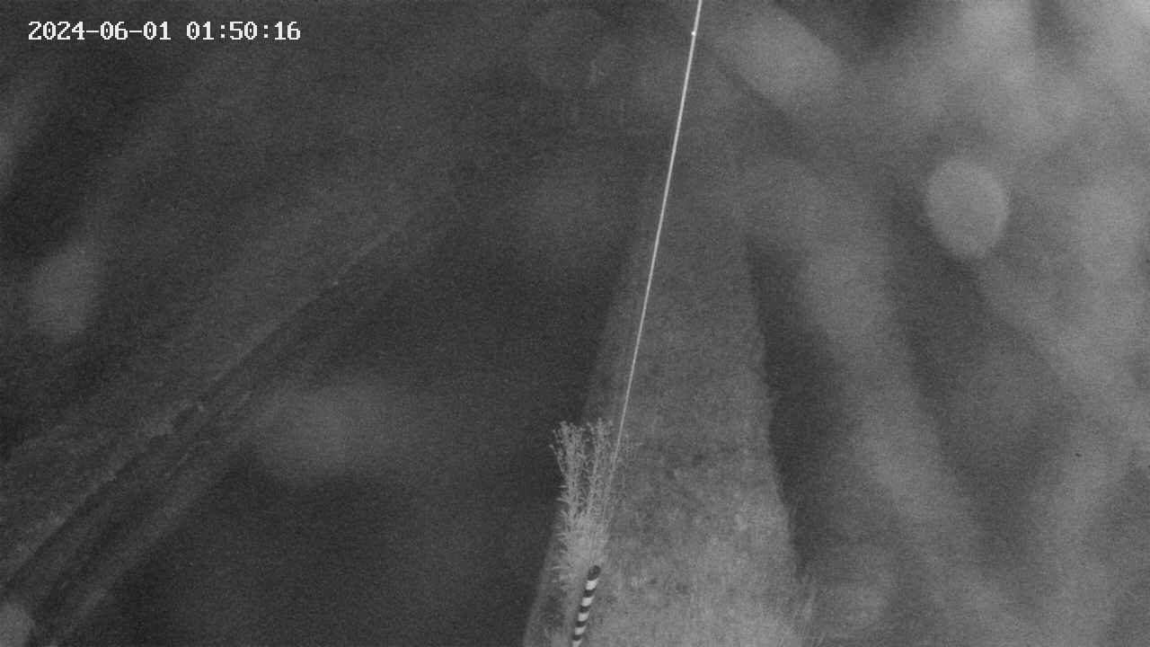 area9-20240601015017.jpg