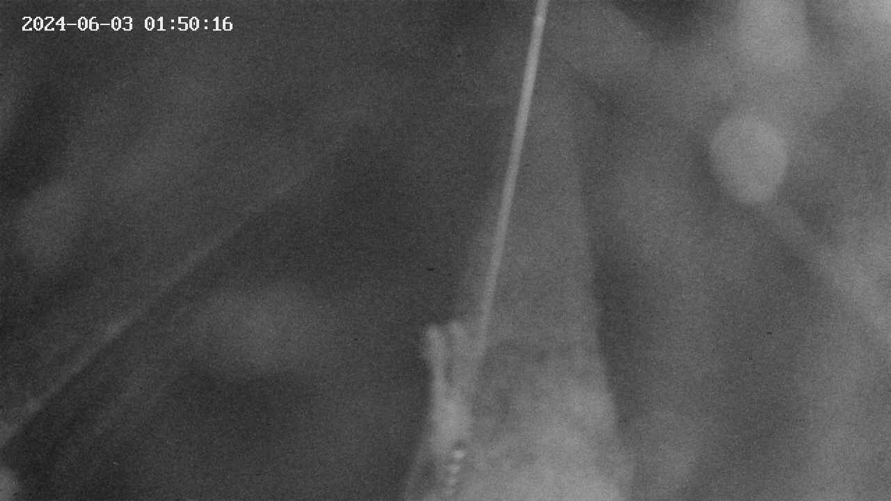 area9-20240603015017.jpg