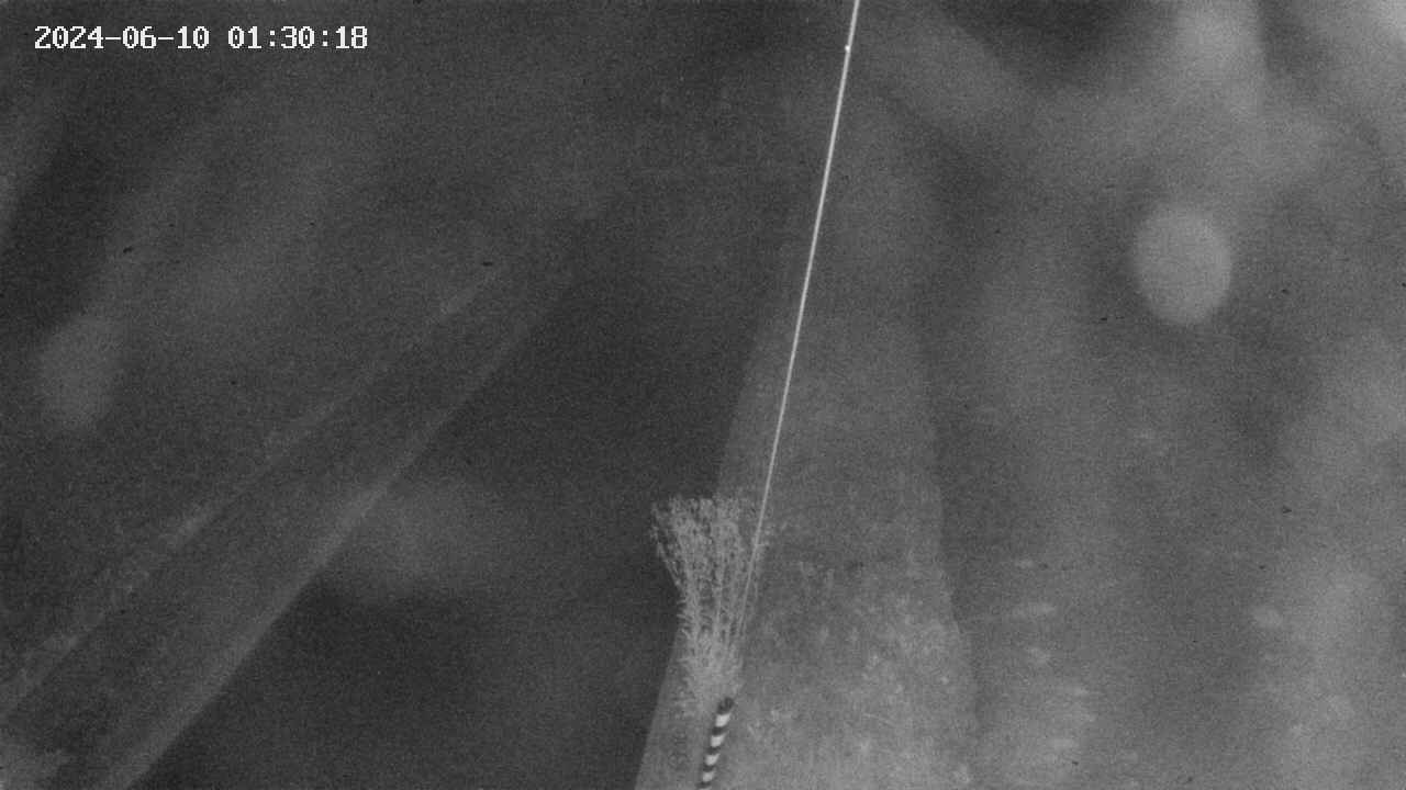 area9-20240610013018.jpg