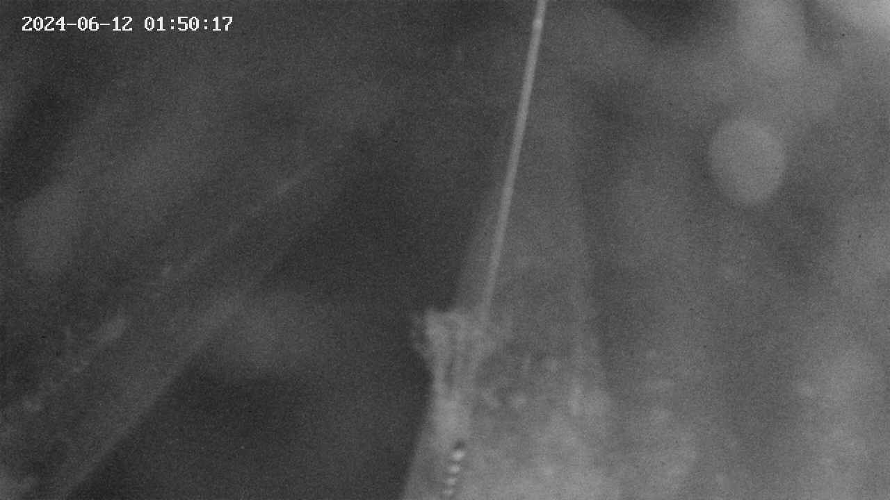 area9-20240612015017.jpg