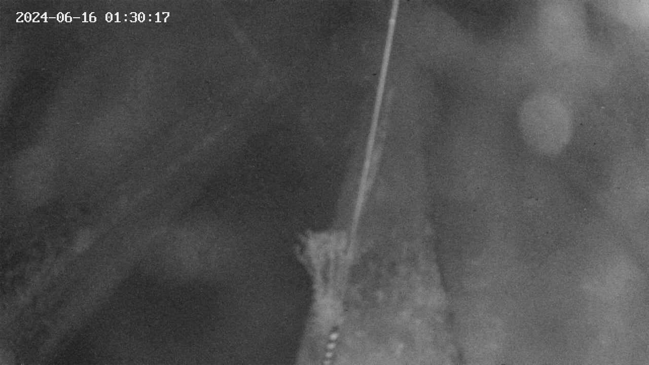 area9-20240616013018.jpg
