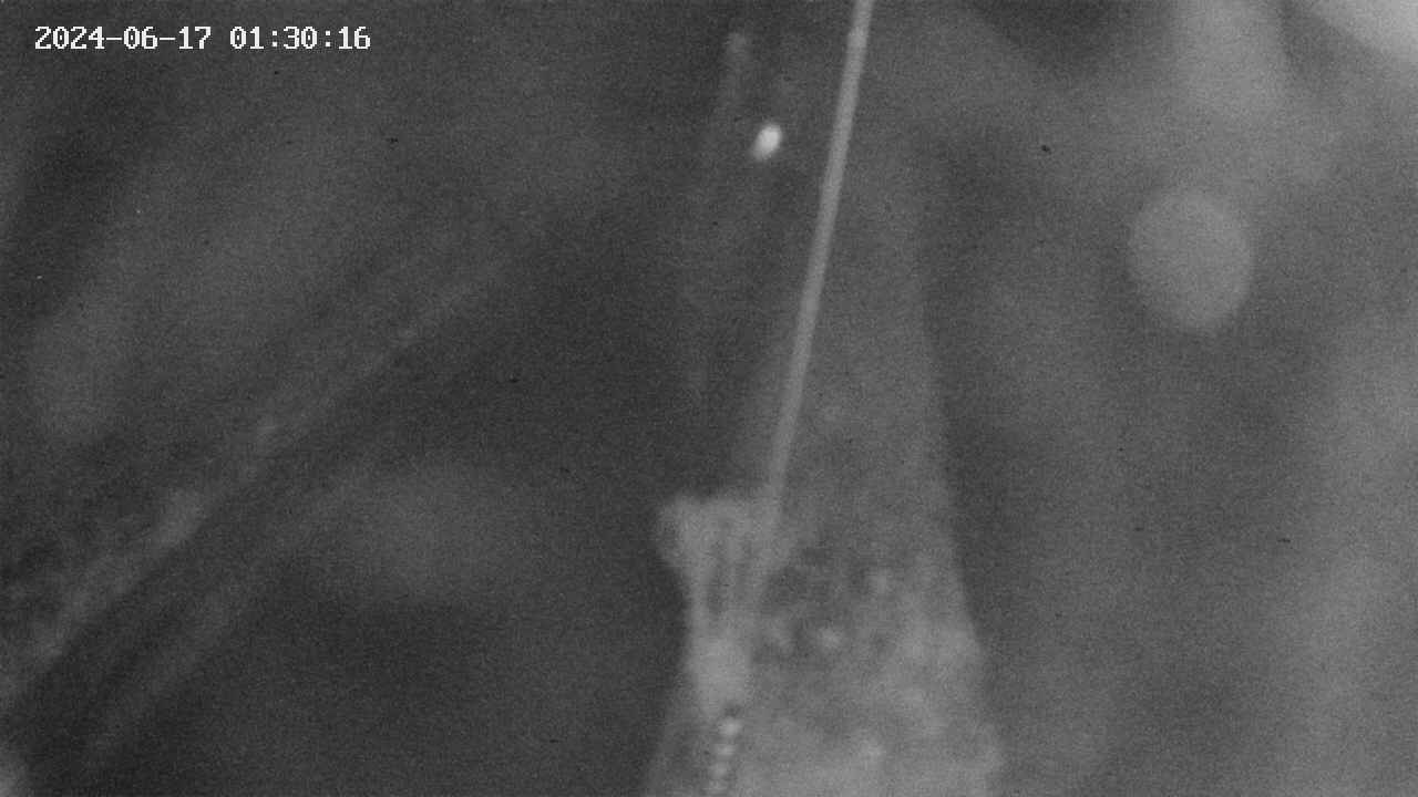 area9-20240617013017.jpg