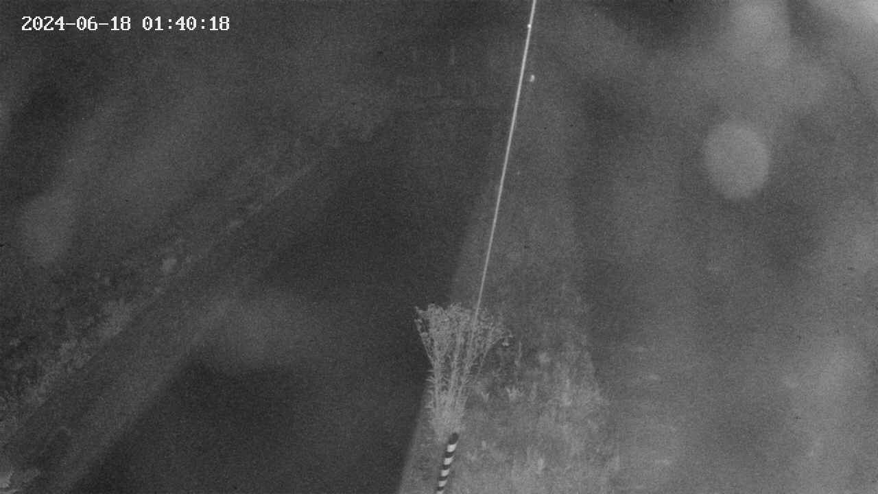 area9-20240618014018.jpg