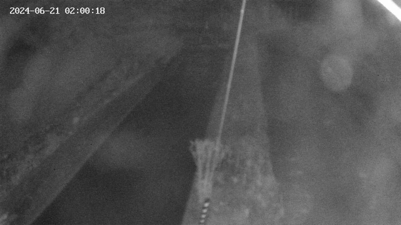 area9-20240621020019.jpg