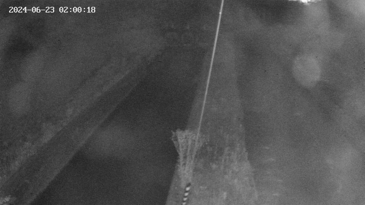 area9-20240623020019.jpg