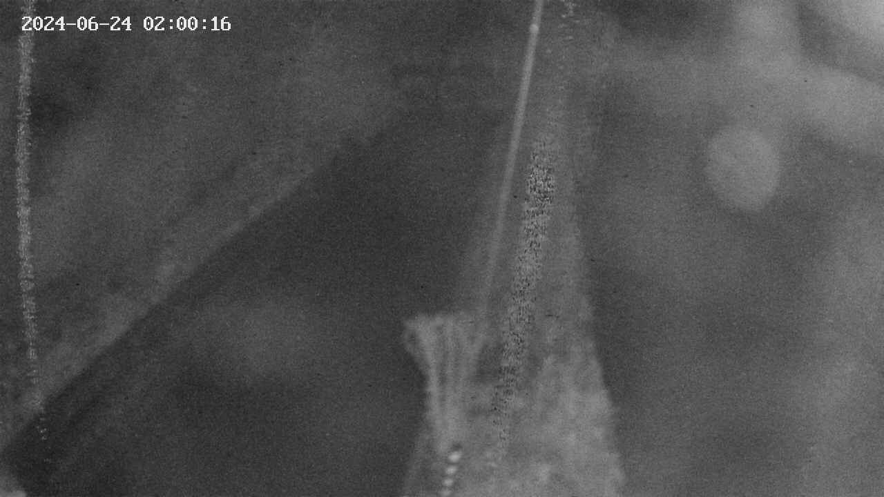 area9-20240624020018.jpg