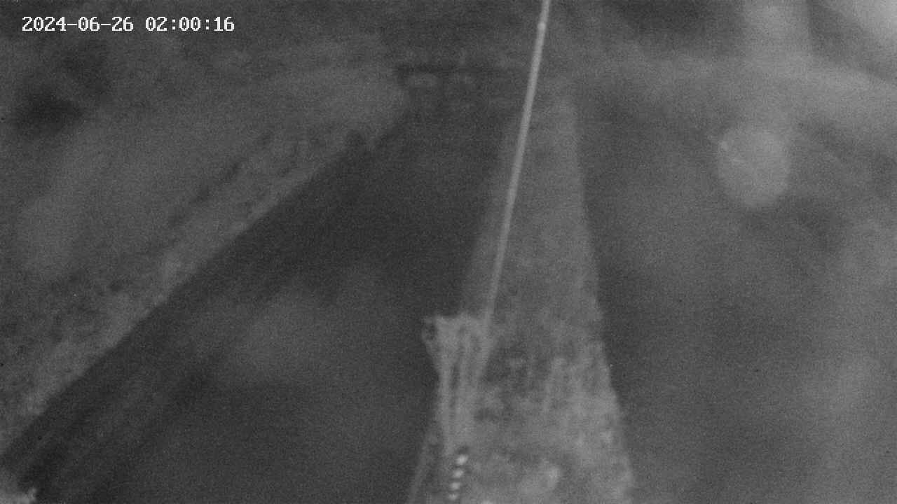 area9-20240626020017.jpg