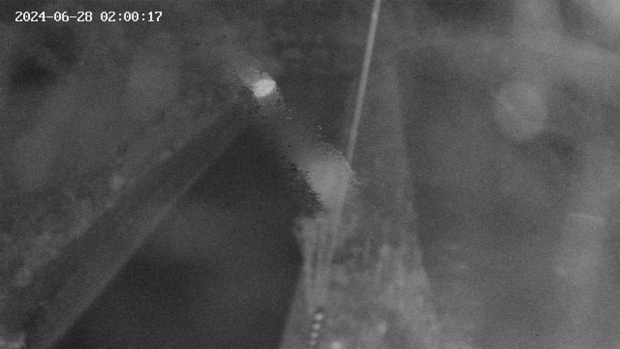 area9-20240628020018.jpg