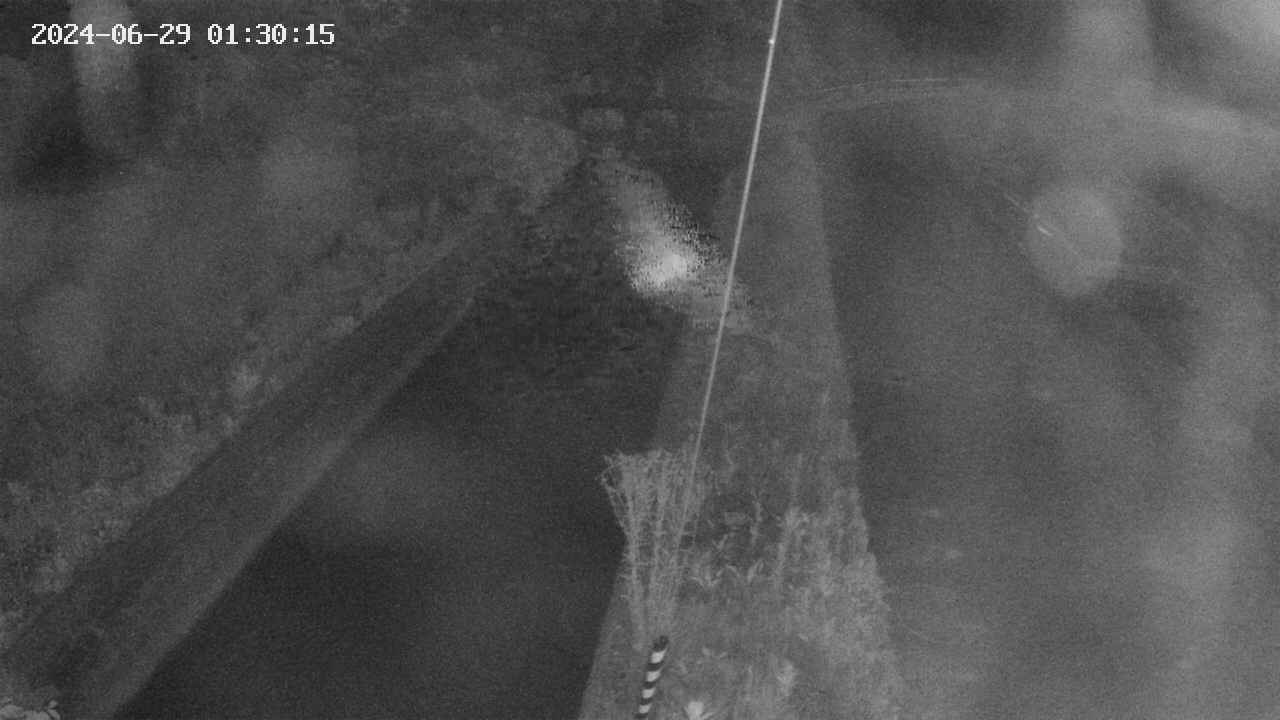 area9-20240629013017.jpg