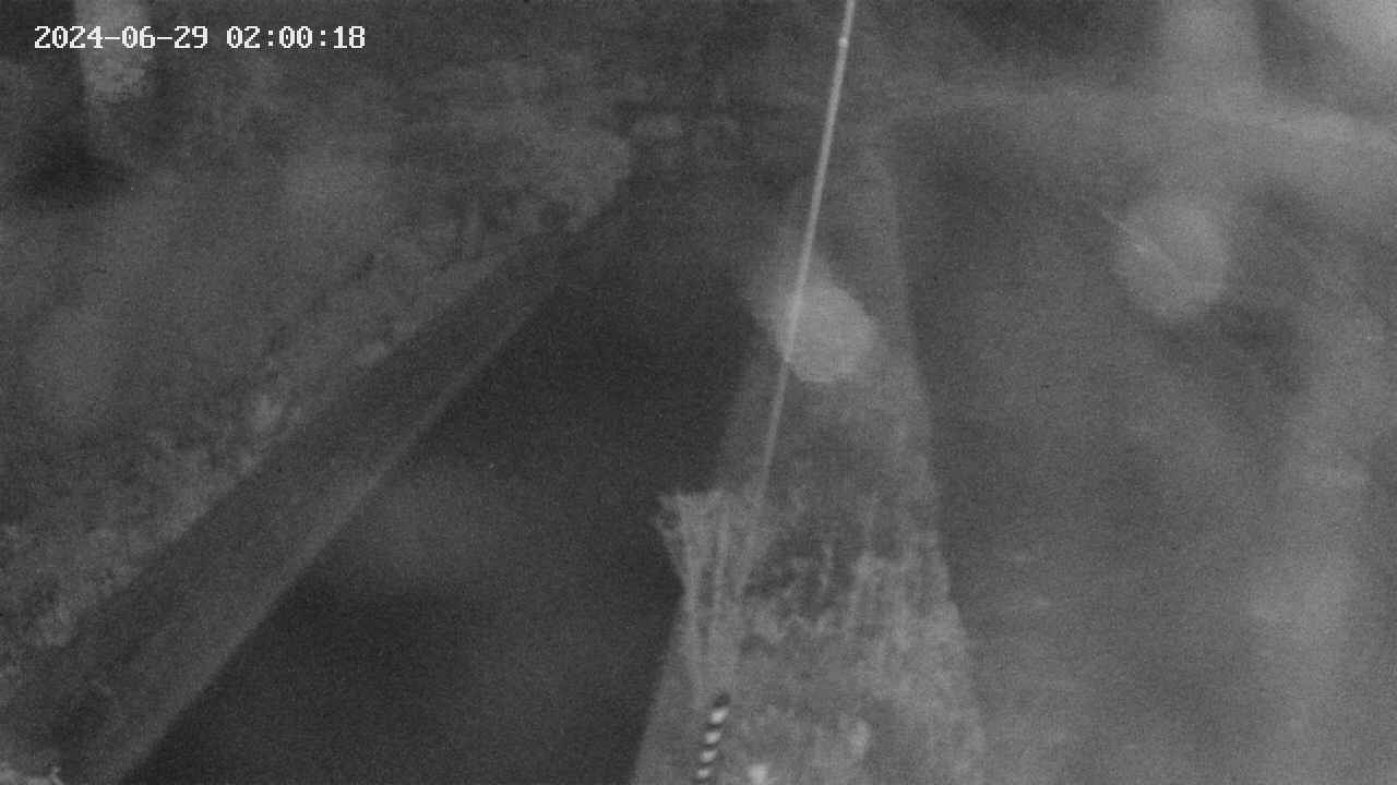area9-20240629020019.jpg