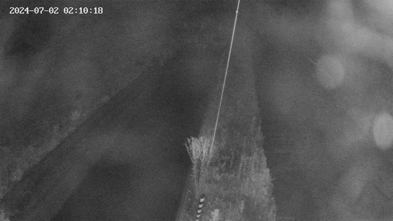 area9-20240702021019.jpg