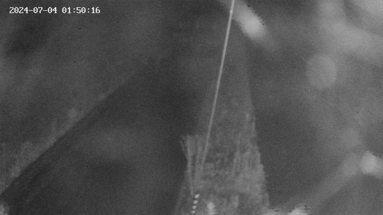area9-20240704015017.jpg