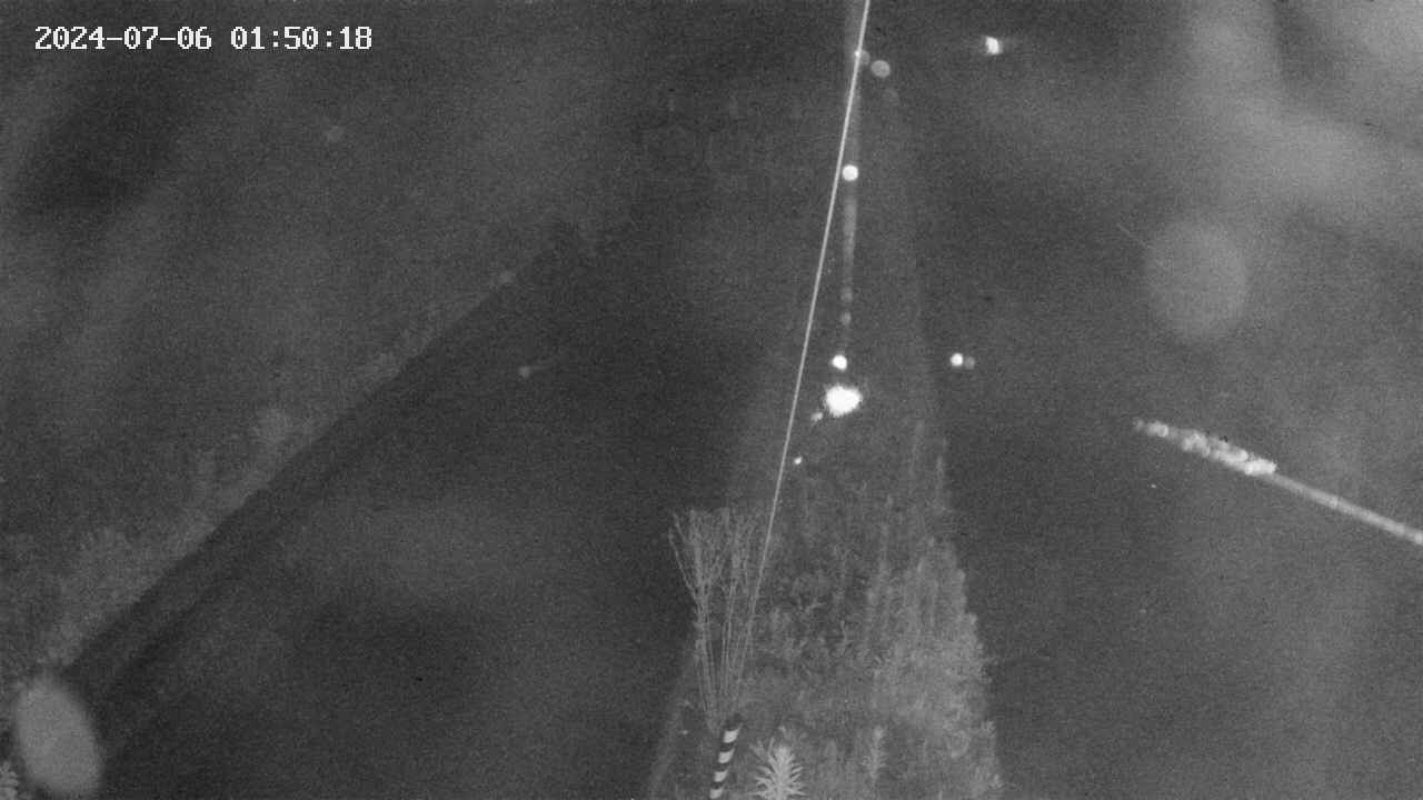 area9-20240706015019.jpg