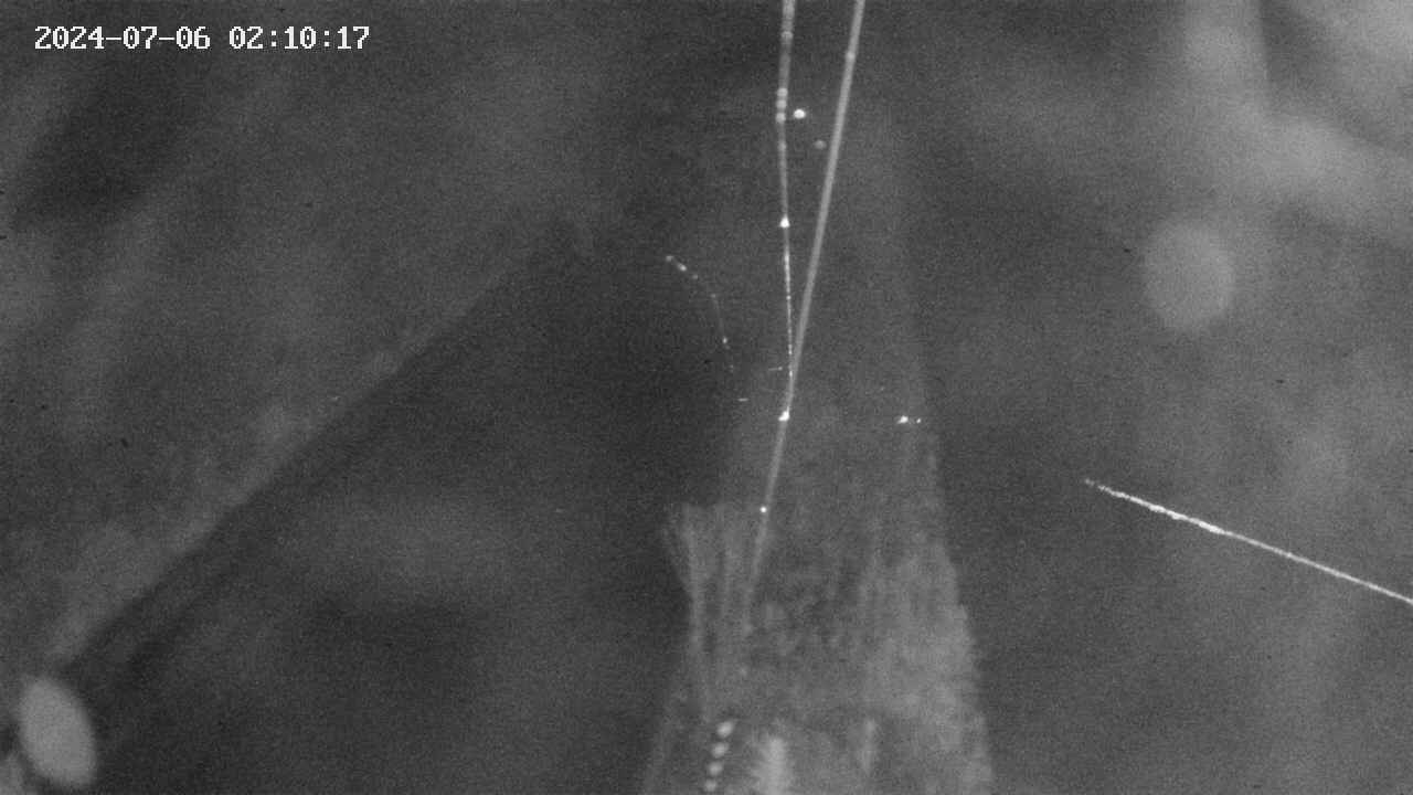 area9-20240706021018.jpg