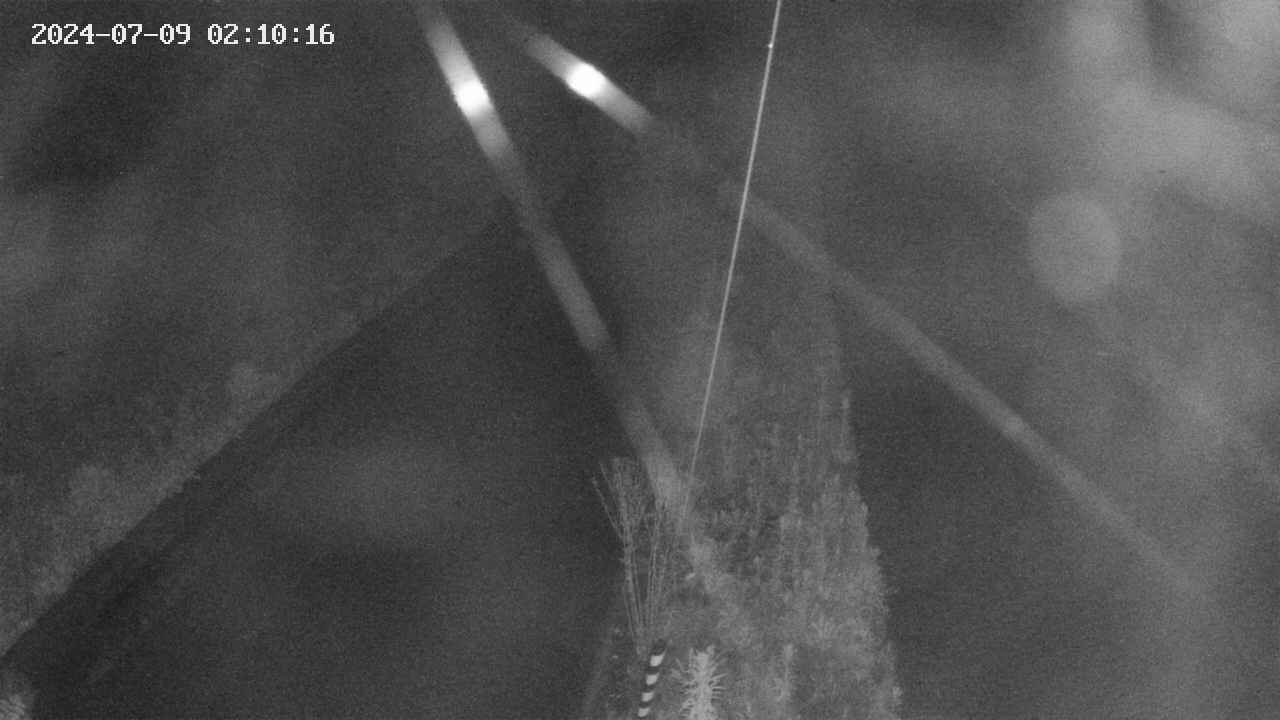 area9-20240709021018.jpg