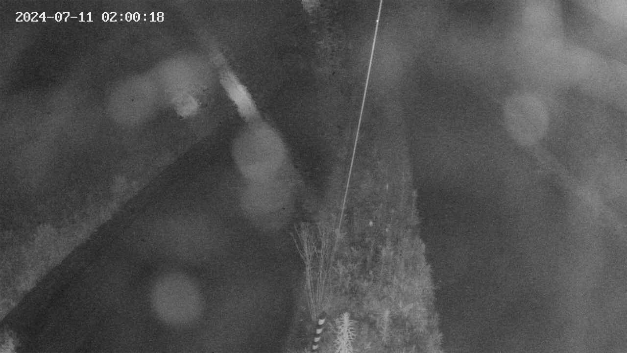 area9-20240711020019.jpg