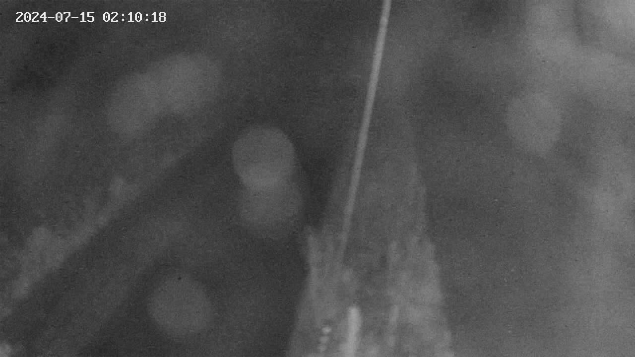 area9-20240715021019.jpg