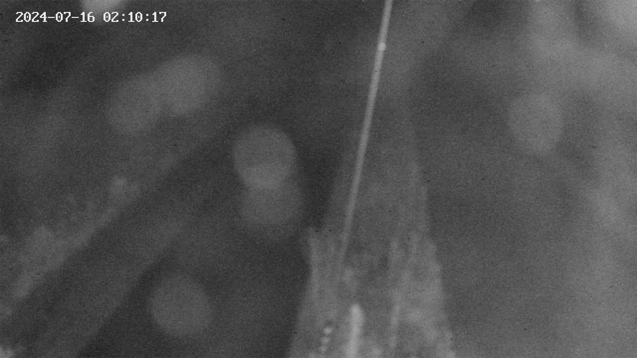 area9-20240716021018.jpg