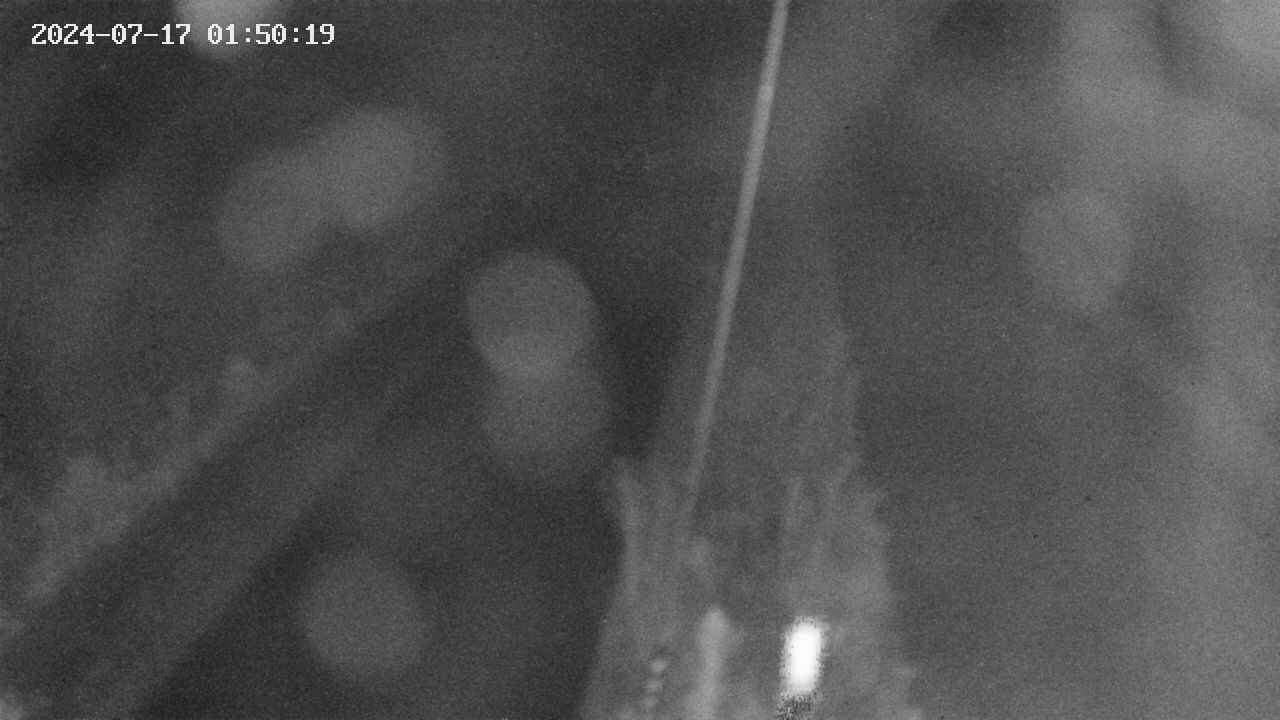 area9-20240717015019.jpg