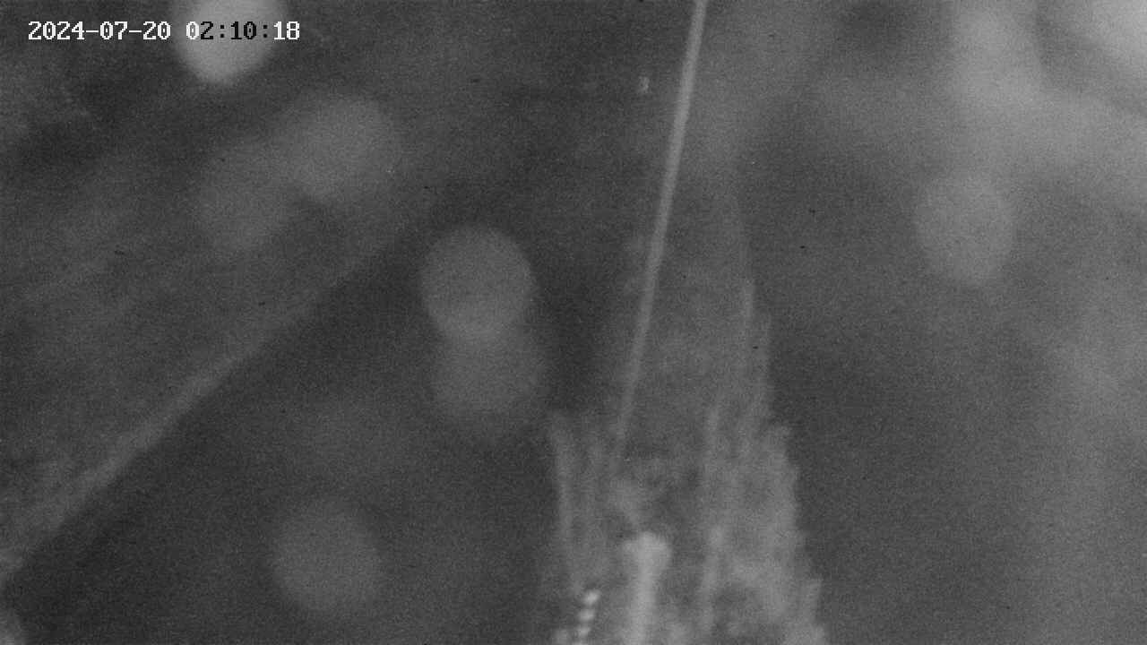 area9-20240720021019.jpg
