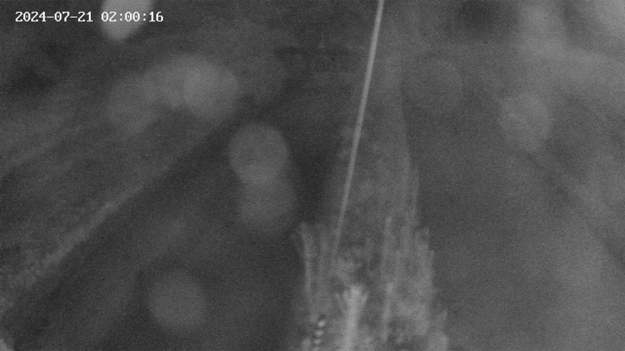 area9-20240721020017.jpg