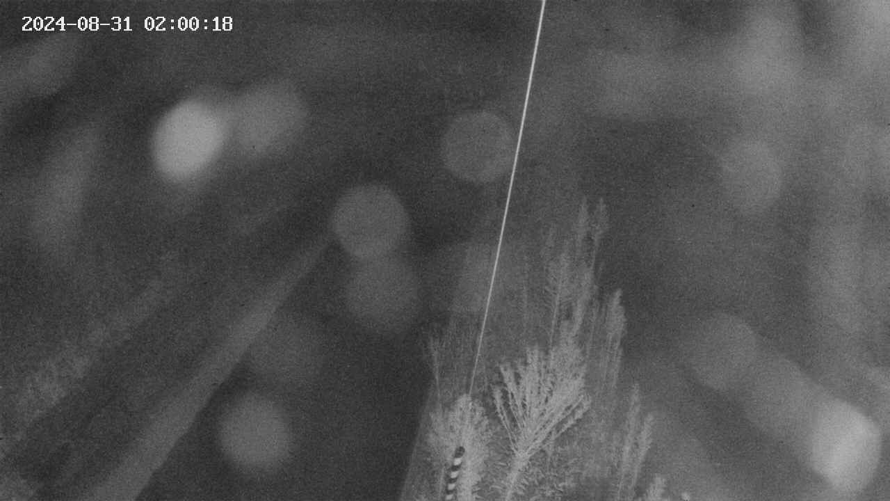 area9-20240831020019.jpg