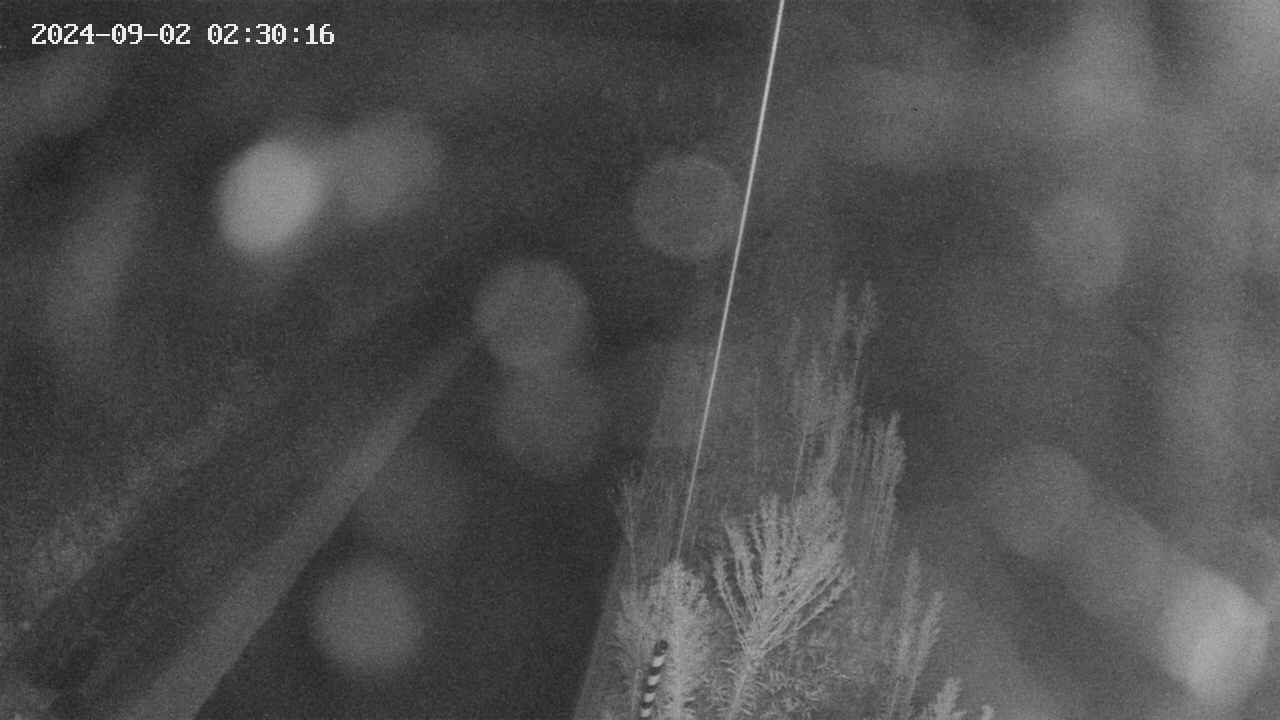 area9-20240902023018.jpg