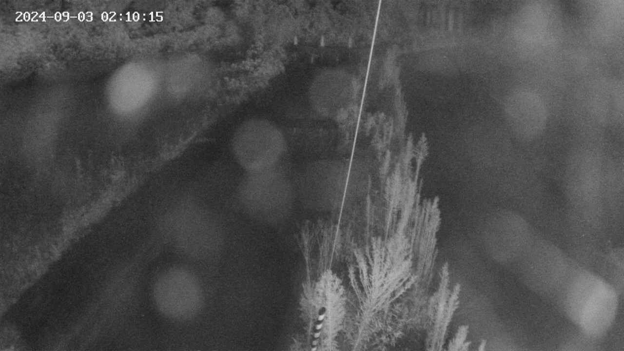 area9-20240903021016.jpg