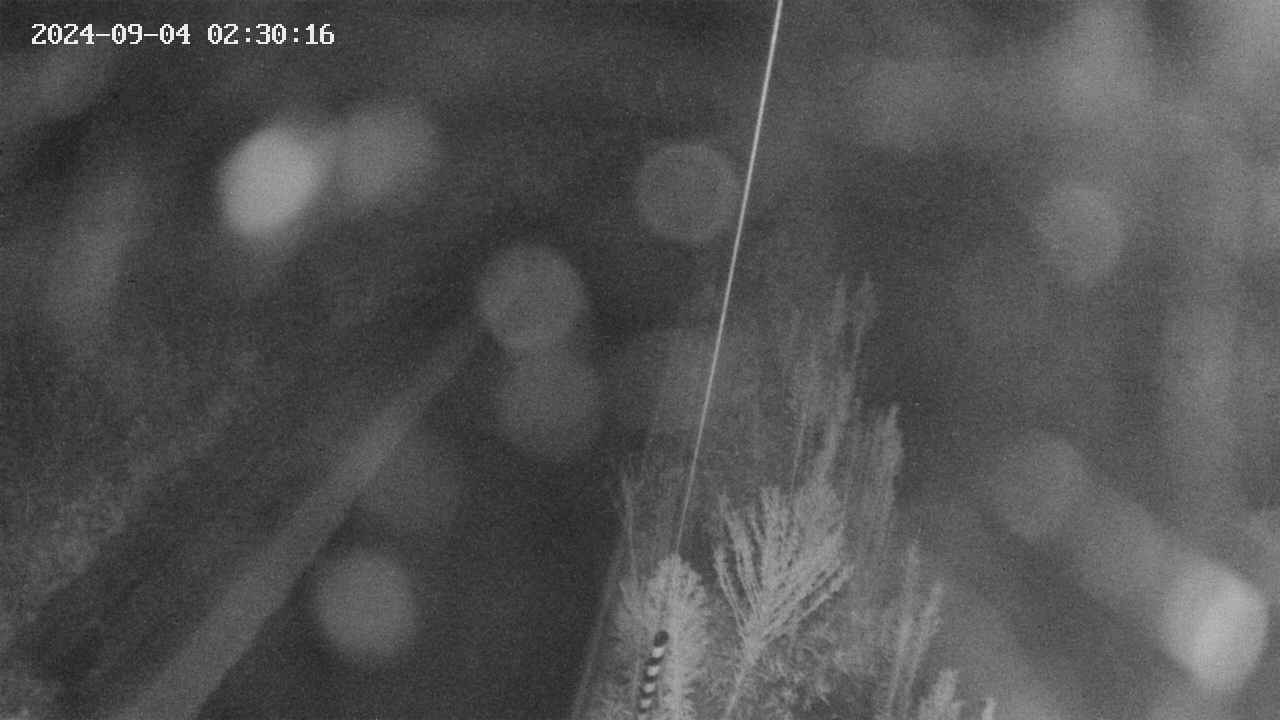 area9-20240904023017.jpg