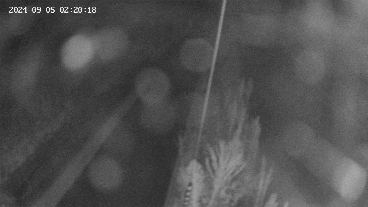 area9-20240905022019.jpg