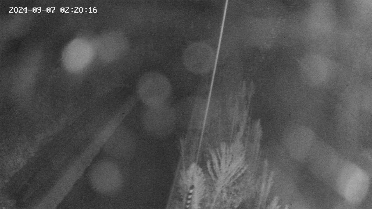 area9-20240907022017.jpg