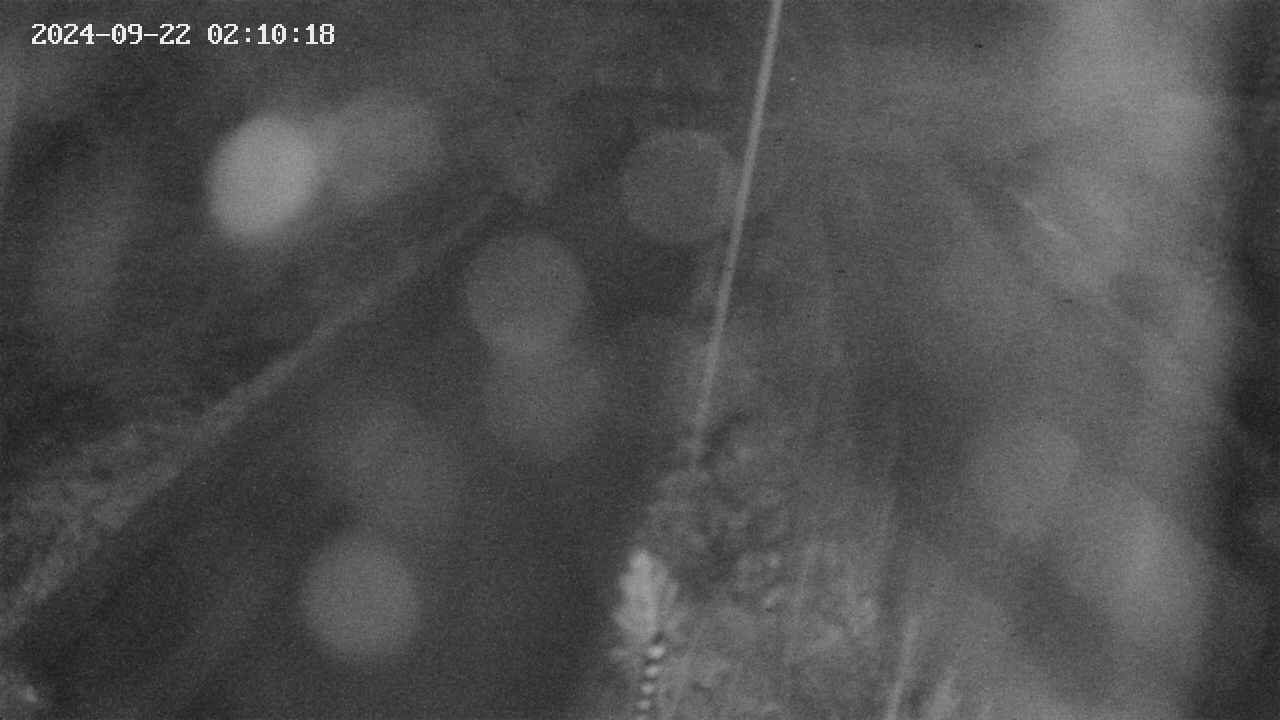 area9-20240922021019.jpg