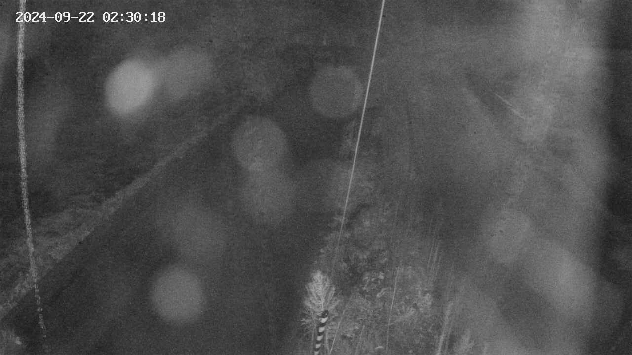 area9-20240922023018.jpg
