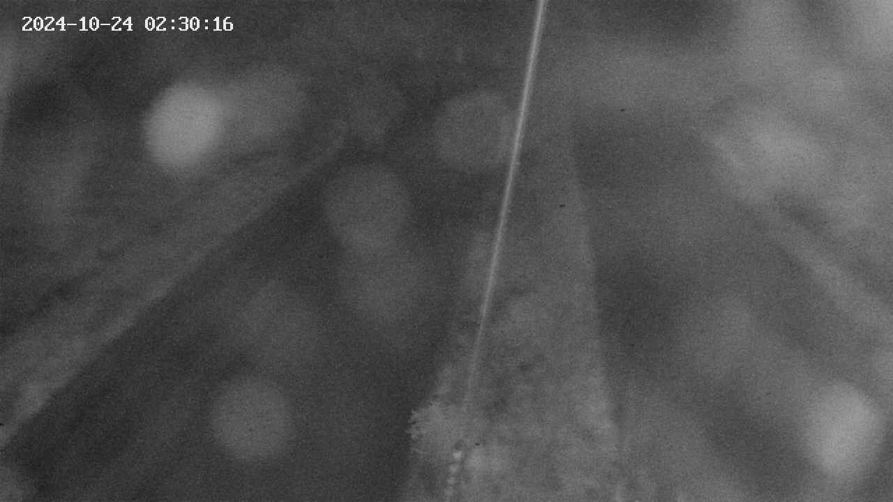 area9-20241024023018.jpg