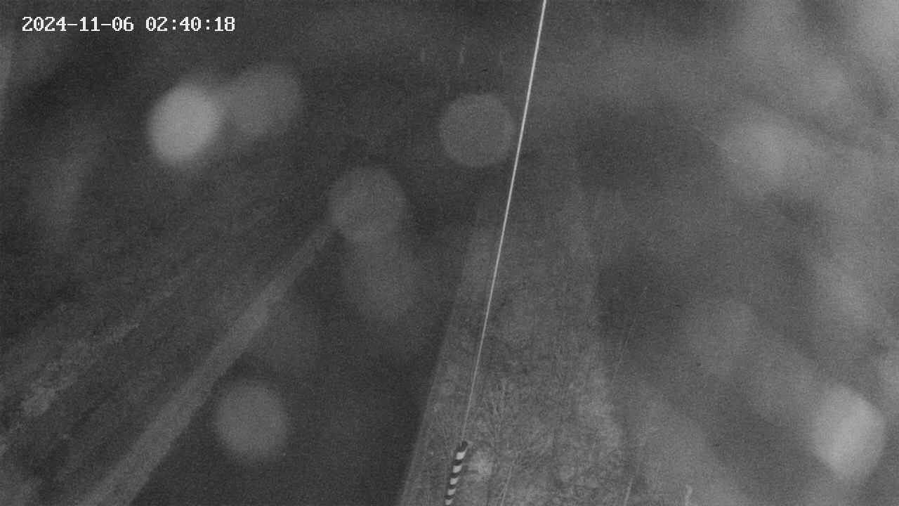 area9-20241106024019.jpg
