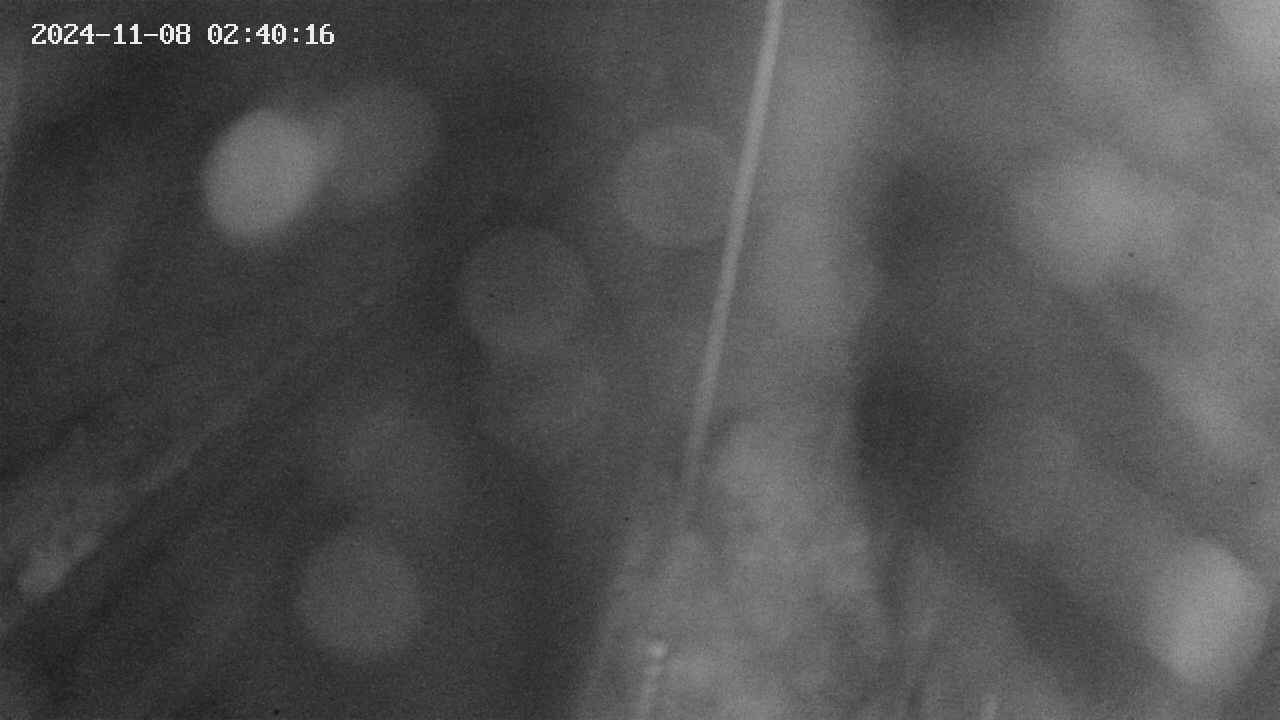 area9-20241108024018.jpg