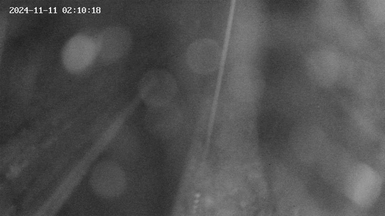 area9-20241111021019.jpg