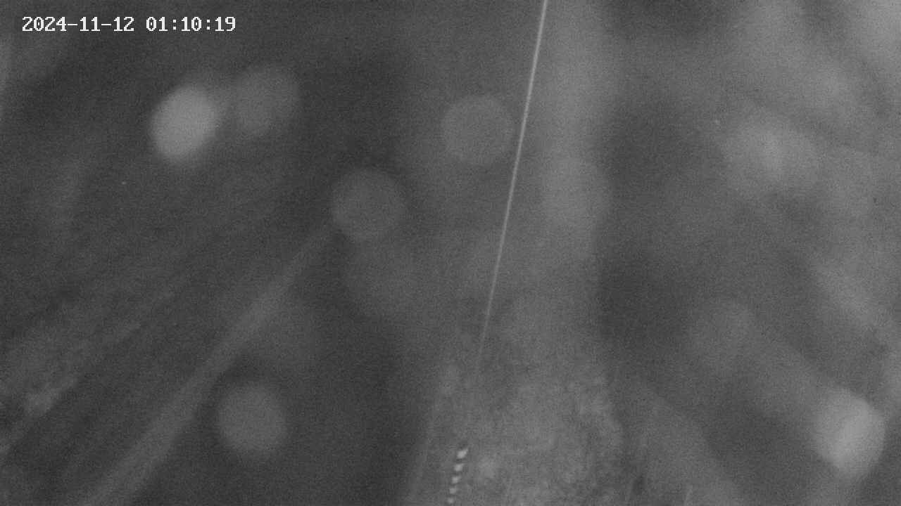 area9-20241112011019.jpg