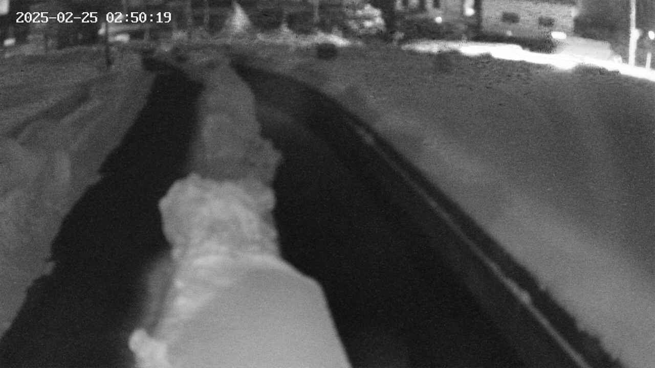 area9-20250225025020.jpg