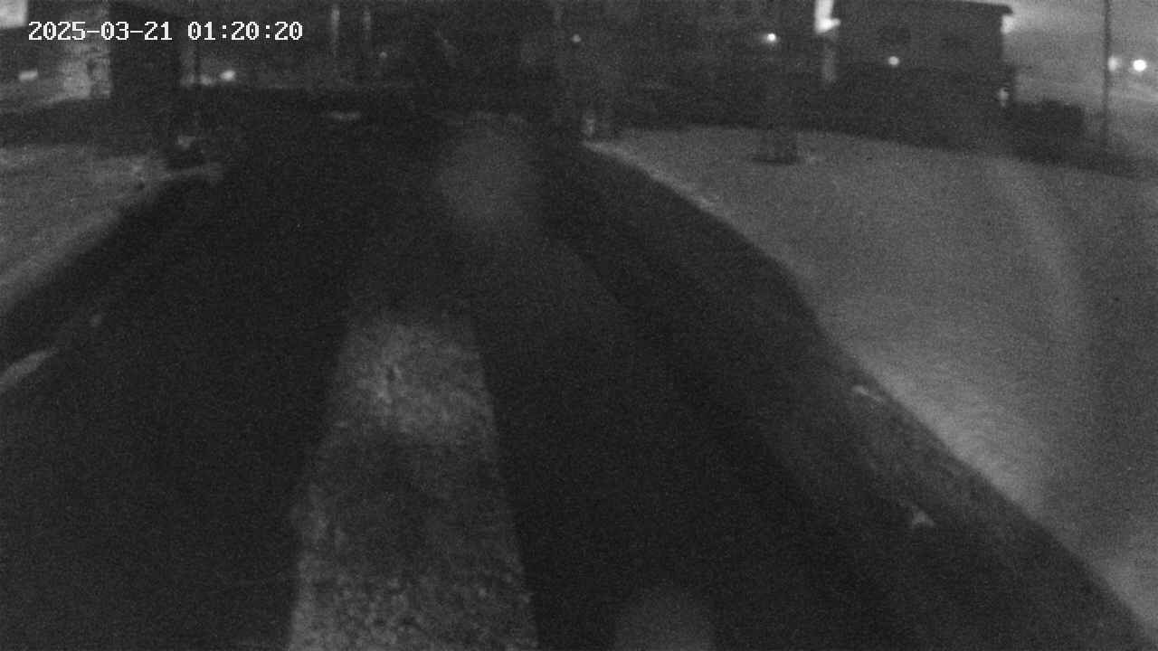 area9-20250321012020.jpg