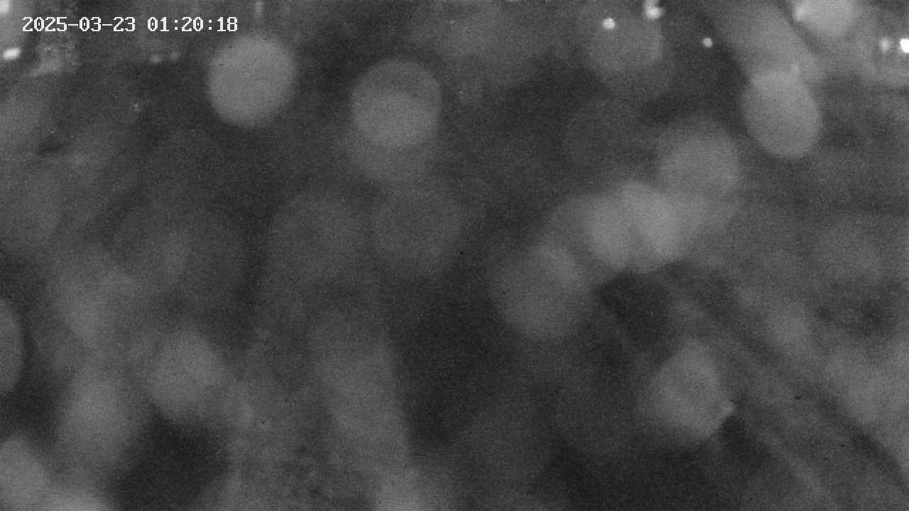area9-20250323012019.jpg