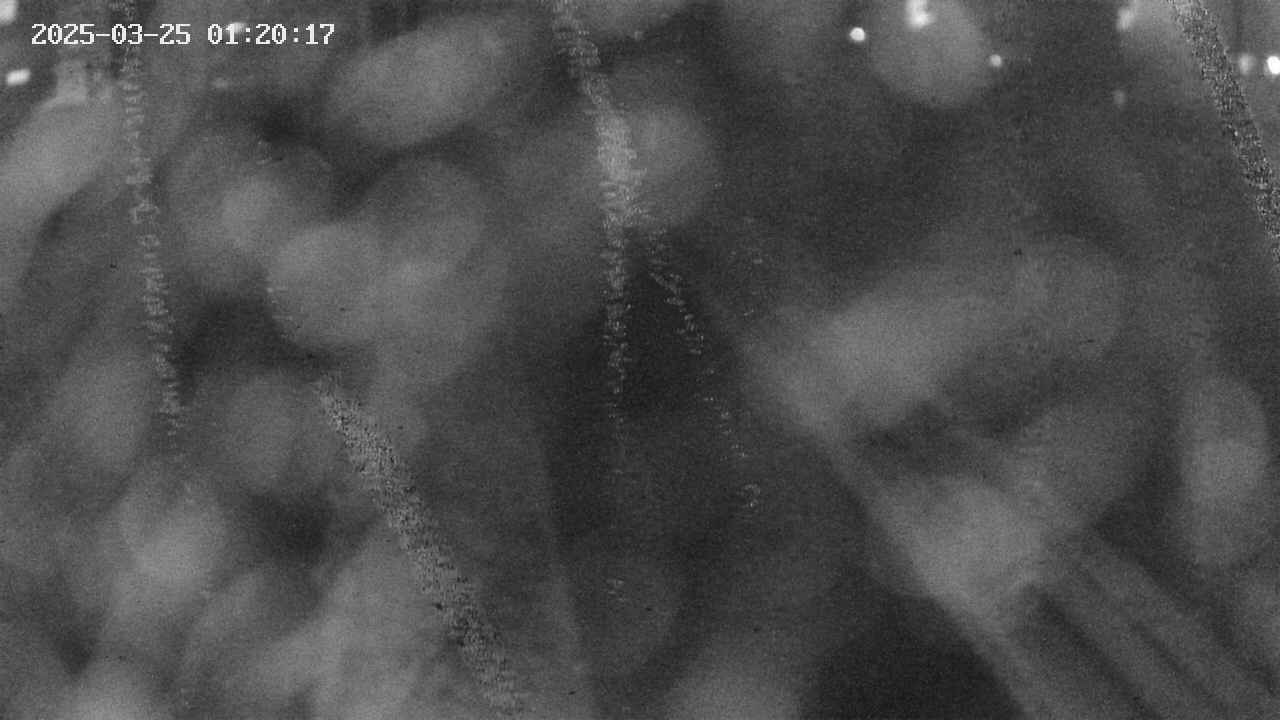 area9-20250325012019.jpg
