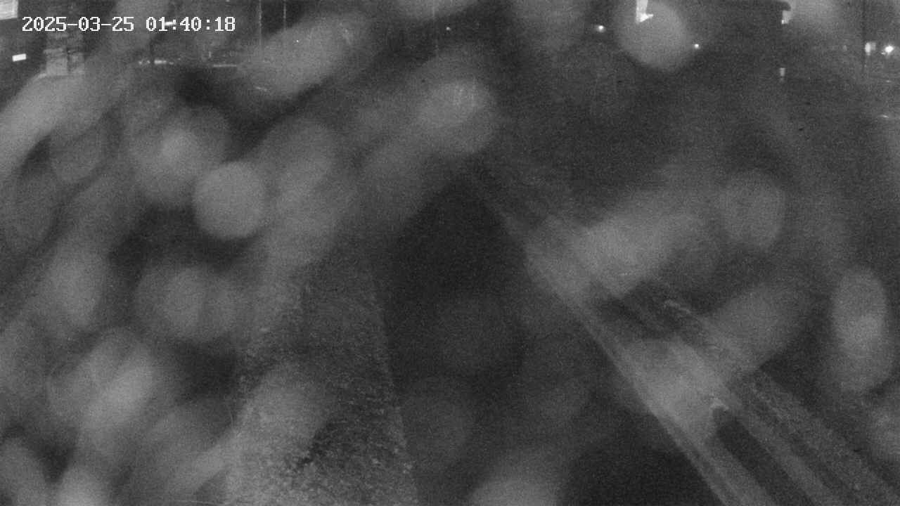 area9-20250325014019.jpg