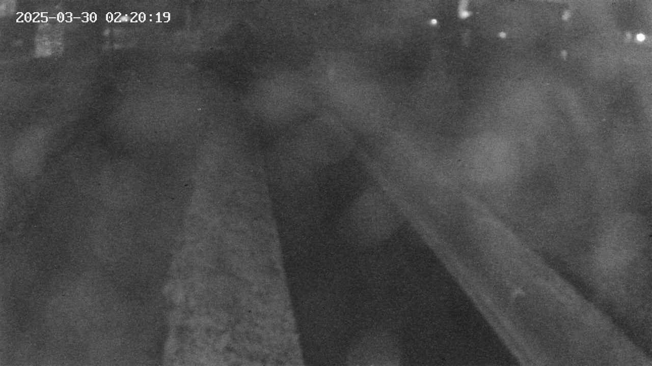 area9-20250330022020.jpg